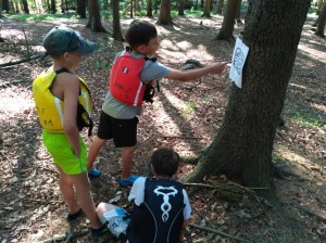 IMG-20170714-WA0033